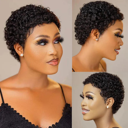 Short Kinky Curly Wigs Human Hair Pixie Cut Brazilian Human Hair For Women Natural Black Glueless Curly Human Hair Wigs